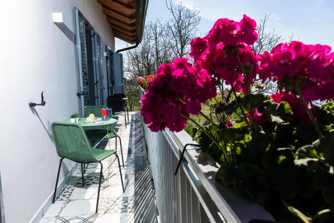 Bed and Breakfast Plein Sud Agerola San Lazzaro di Agerola Экстерьер фото